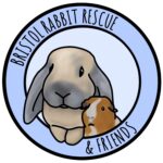 gifts for bunny lovers